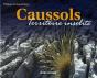 Caussols, Territoire Insolite - Preview