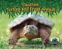 Caution: Turtles And Frogs Ahead! - Preview