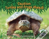 Capa do artigo Caution: Turtles And Frogs Ahead!