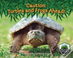 Capa do artigo Caution: Turtles And Frogs Ahead!