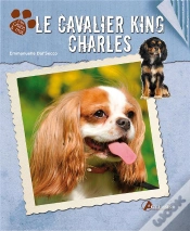 Capa do artigo Cavalier King Charles