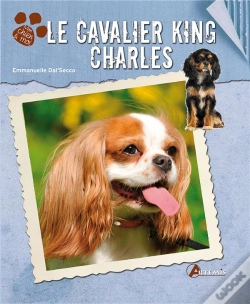 Capa do artigo Cavalier King Charles