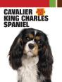 Cavalier King Charles Spaniel - Preview
