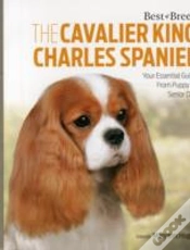 Capa do artigo Cavalier King Charles Spaniel