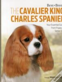 Capa do artigo Cavalier King Charles Spaniel