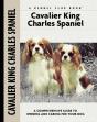 Cavalier King Charles Spaniel - Preview