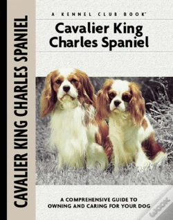 Capa do artigo Cavalier King Charles Spaniel