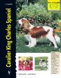 Cavalier King Charles Spaniel - Preview