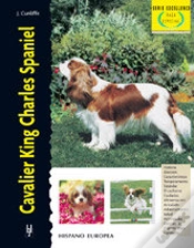 Capa do artigo Cavalier King Charles Spaniel