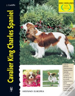 Capa do artigo Cavalier King Charles Spaniel