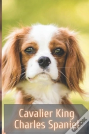 Capa do artigo Cavalier King Charles Spaniel