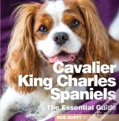 Cavalier King Charles Spaniels