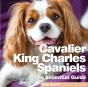 Cavalier King Charles Spaniels - Preview