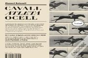 Cavall, Atleta, Ocell