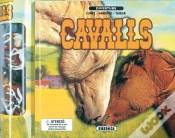 Capa do artigo Cavalls, Divertubs
