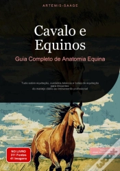 Capa do artigo Cavalo E Equinos: Guia Completo De Anatomia Equina