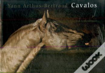 Cavalos