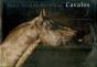 Cavalos - Preview