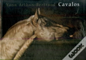 Cavalos
