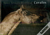 Capa do artigo Cavalos