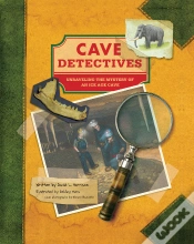Capa do artigo Cave Detectives