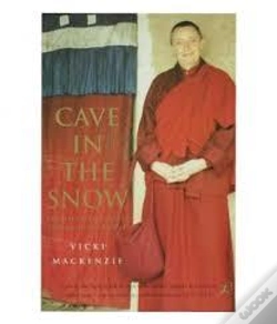 Capa do artigo Cave In The Snow