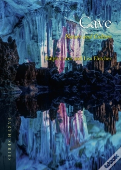 Capa do artigo Cave