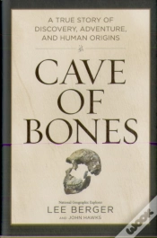 Capa do artigo Cave Of Bones