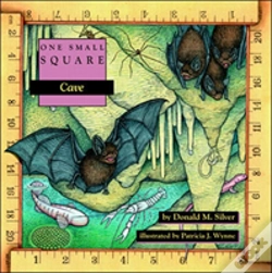 Capa do artigo Cave