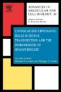 Caveolae And Lipid Rafts: Roles In Signal Transduction And The Pathogenesis Of Human Disease - Preview