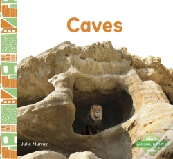 Capa do artigo Caves