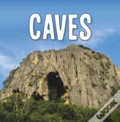 Capa do artigo Caves