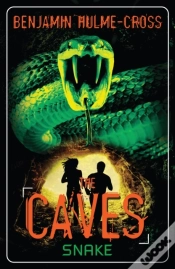 Capa do artigo Caves: Snake