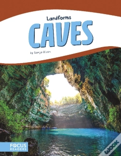 Capa do artigo Caves