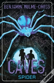 Capa do artigo Caves: Spider