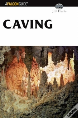 Capa do artigo Caving