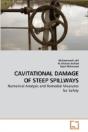 Cavitational Damage Of Steep Spillways - Preview