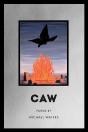 Caw - Preview
