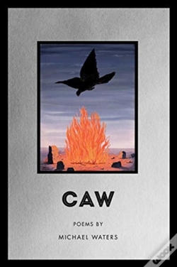 Capa do artigo Caw