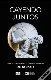 Capa do artigo Cayendo Juntos