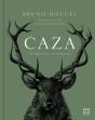 Caza - Preview
