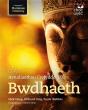 Cbac Astudiaethau Crefyddol U2 Bwdhaeth - Preview