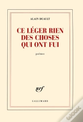 Ce Léger Rien Des Choses Qui Ont Fui