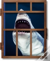 Capa do artigo Ce-Michael Muller. Sharks - Anglais -
