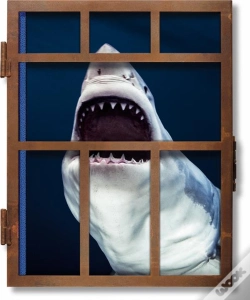 Capa do artigo Ce-Michael Muller. Sharks - Anglais -
