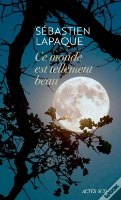 Capa do artigo Ce Monde Est Tellement Beau