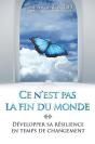 Ce N'Est Pas La Fin Du Monde - Preview