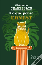 Capa do artigo Ce Que Pense Ernest