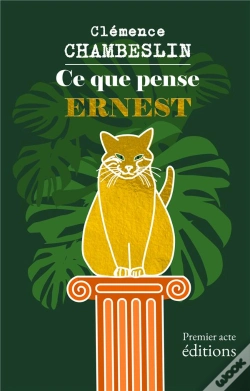 Capa do artigo Ce Que Pense Ernest