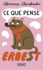 Ce Que Pense Ernest - Preview